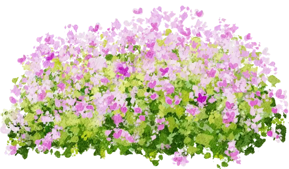 Flower Bush Behind